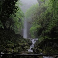 養老の滝。雨天のため水量豊富であった。