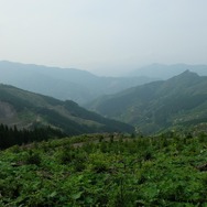 九州山地の奥部。林業は崩壊状態だが、治山のために定期的に伐採、植林されている。