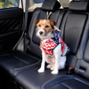 小型犬のララは後席に飛び出し防止用のリードを装着して乗車