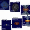 星と惑星の誕生の標準的な概念図