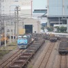 臨時列車は東京貨物ターミナル発着の貨物列車との継走を行う。写真は東京貨物ターミナル駅。