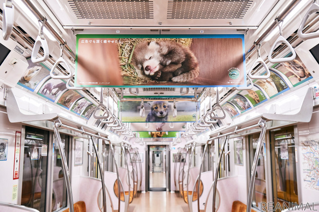 全国の動物園の人気者たちが電車をジャック、「深い癒やしトレイン」登場