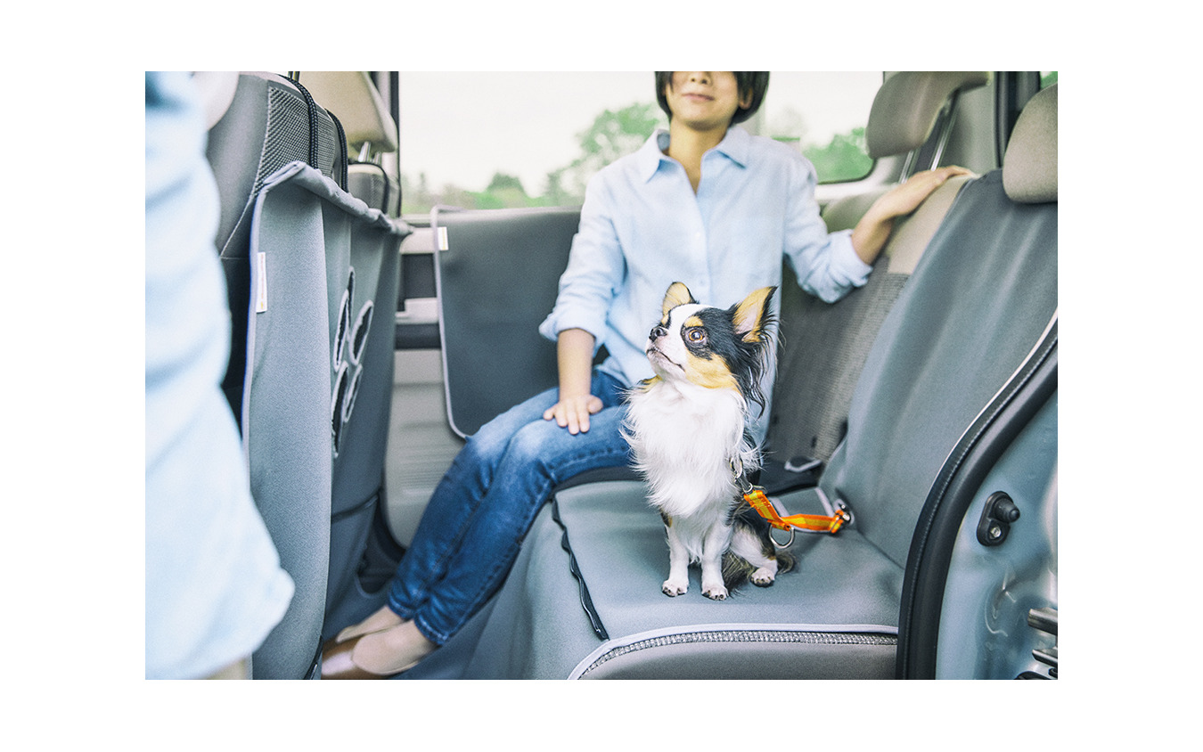 Honda純正愛犬用アクセサリー Honda Dogシリーズ 装着イメージ（ペットシートマット・ペットドアライニングカバー/グレー）