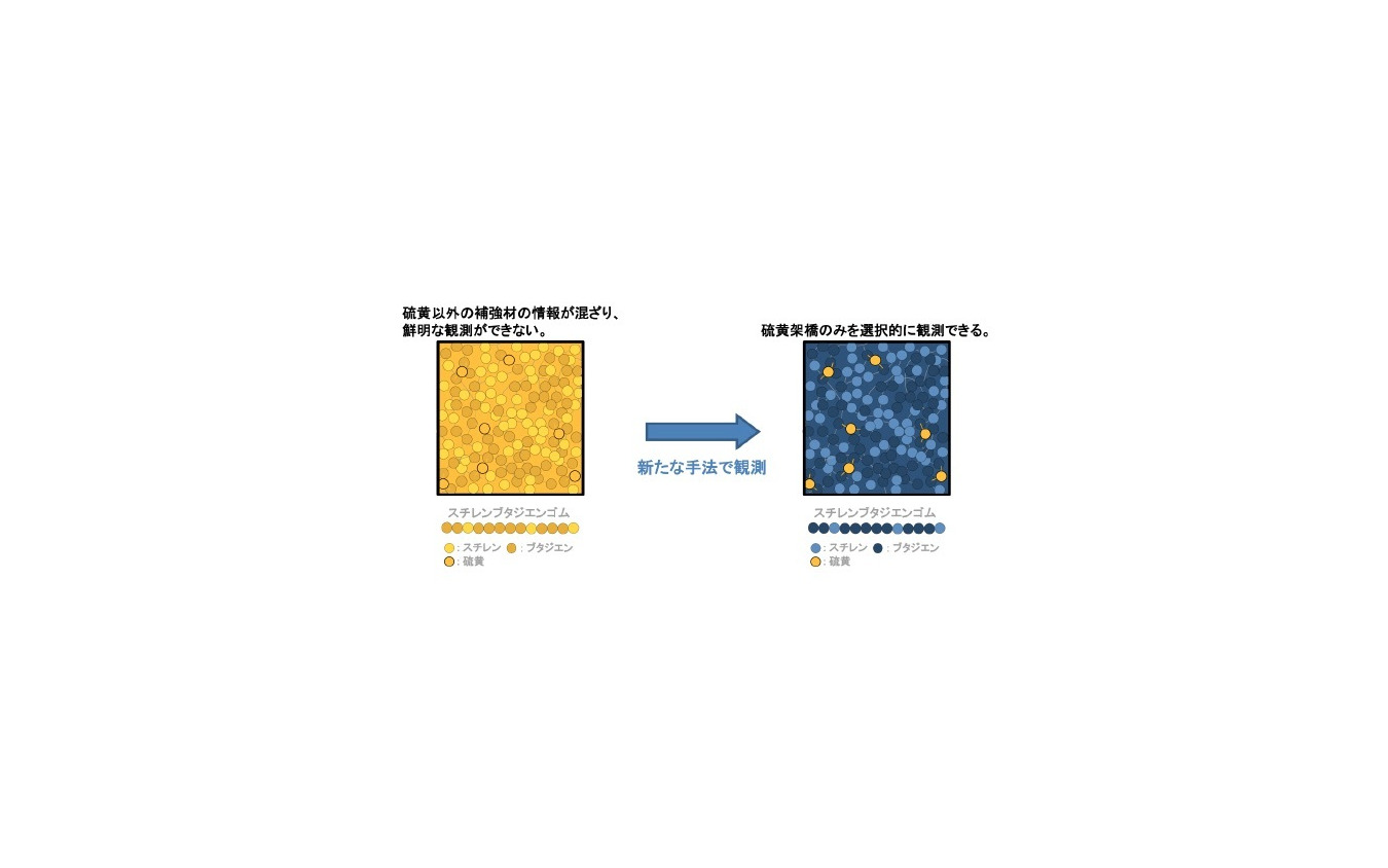タイヤ用ゴム内部の特定材料を選択的に観測 住友ゴムと茨城大学が手法を確立 レスポンス Response Jp