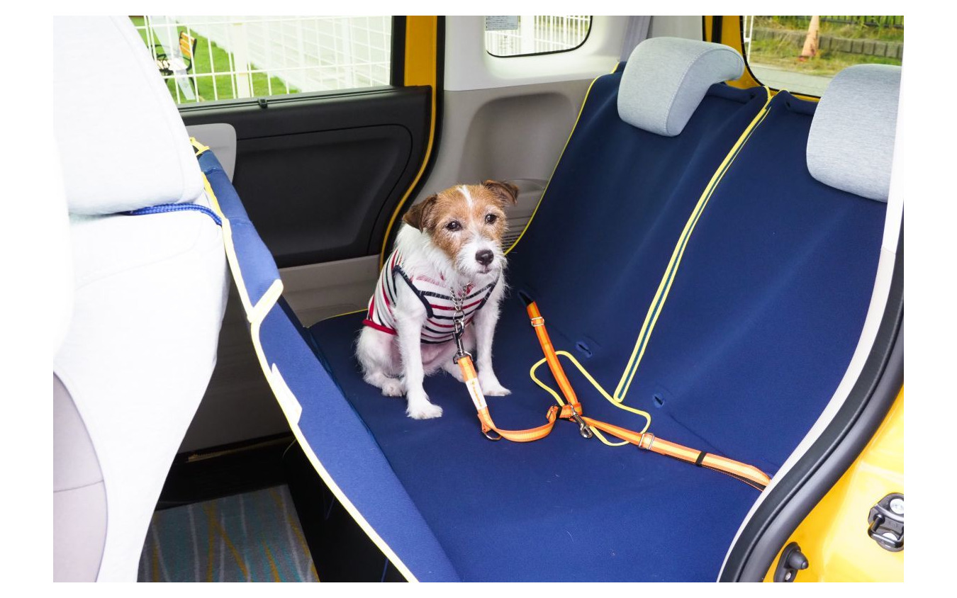 青山尚暉のわんダフルカーライフ 道路交通法違反にならないために 正しい愛犬の乗せ方 レスポンス Response Jp 青山尚暉のわんダフルカーライフ 道路交通法違反にならないために 正しい愛犬の乗せ方 レスポンス Response Jp