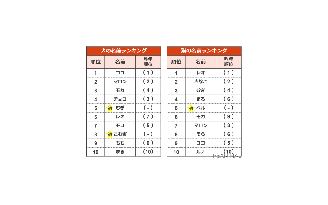 アイペット損保、「ペットの名前ランキング2020」を発表