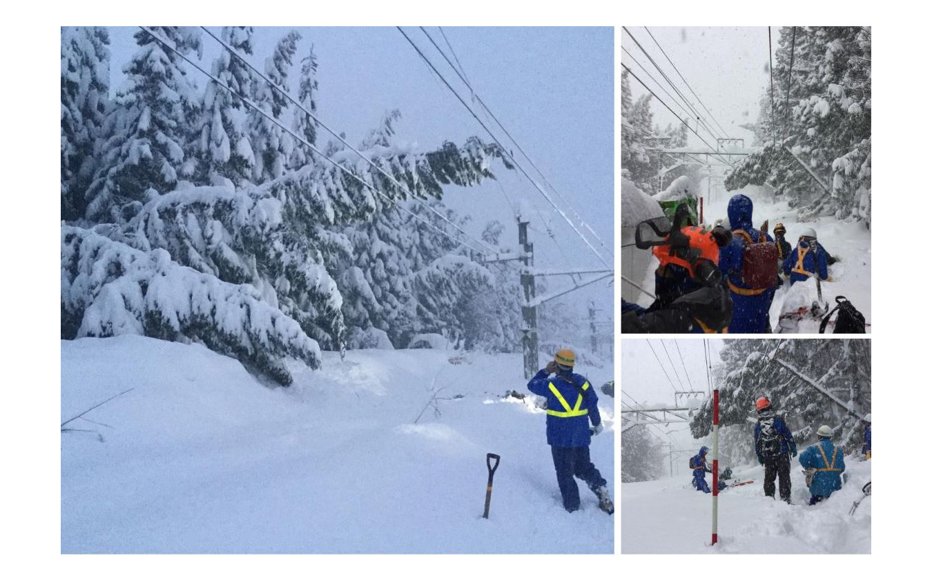 大雪では、湿った降雪の影響で倒木も多数発生する。電化区間では架線設備に損傷を与えることも。