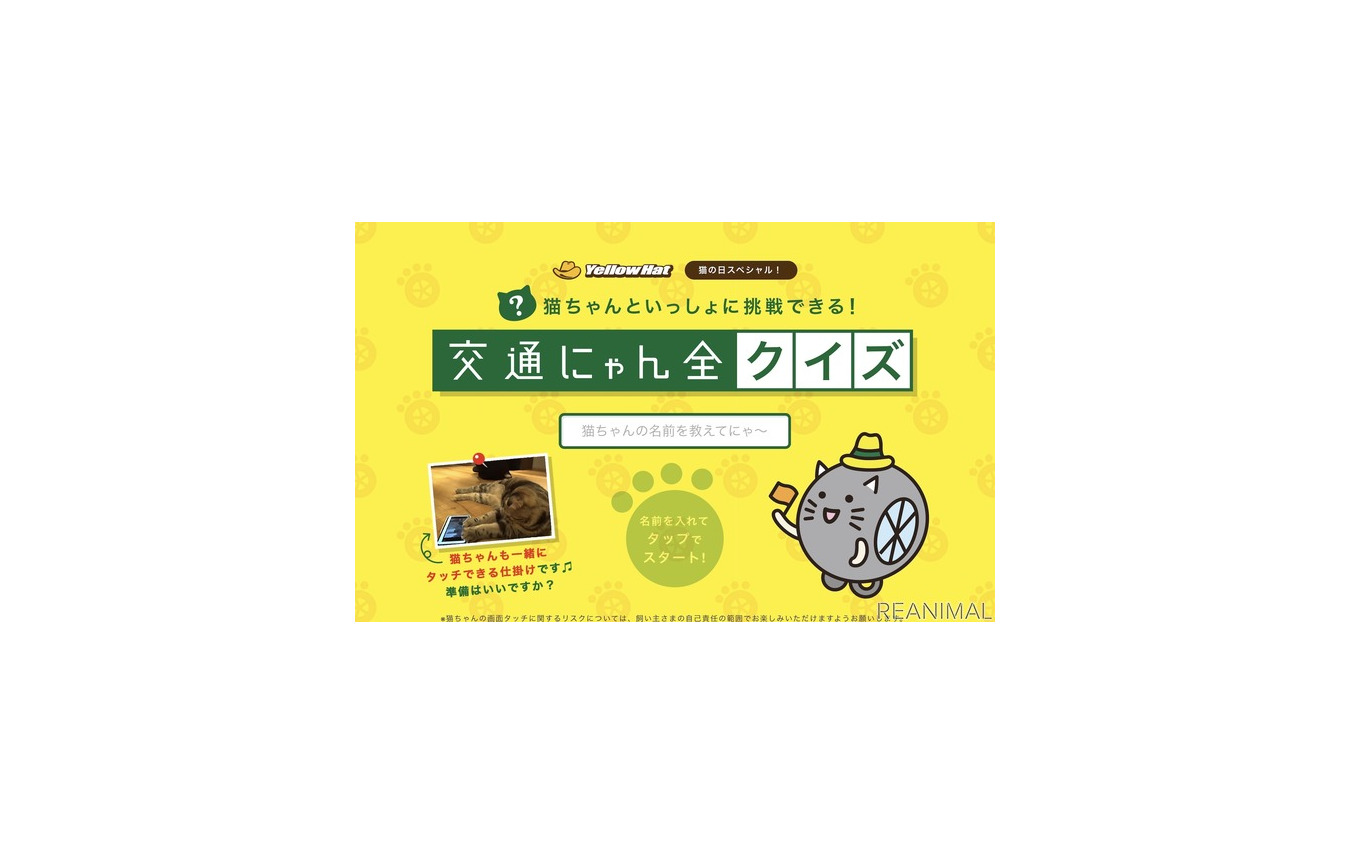 猫参加型「交通にゃん全クイズ」公開&猫参加型「交通にゃん全番組」地上波放映決定