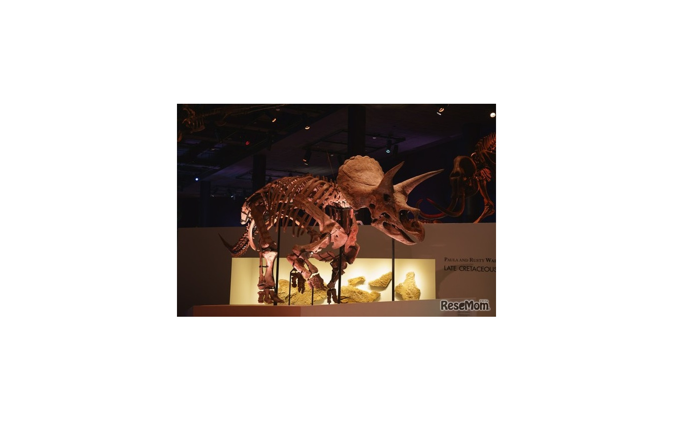 Sony presents DinoScience 恐竜科学博 ~ララミディア大陸の恐竜物語~(ヒューストン自然科学博物館所蔵)