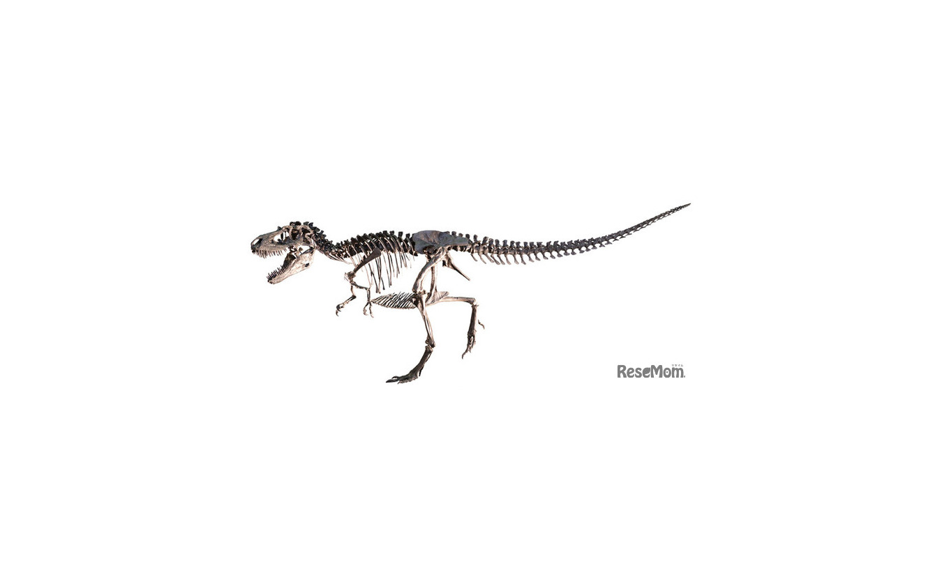 ゴルゴサウルス