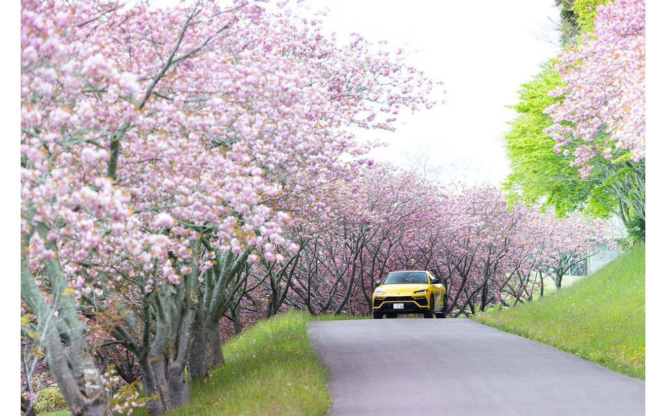 ランボルギーニ ウルス 日本縦断 6500kmを走破 フォトレポート 37枚目の写真 画像 レスポンス Response Jp