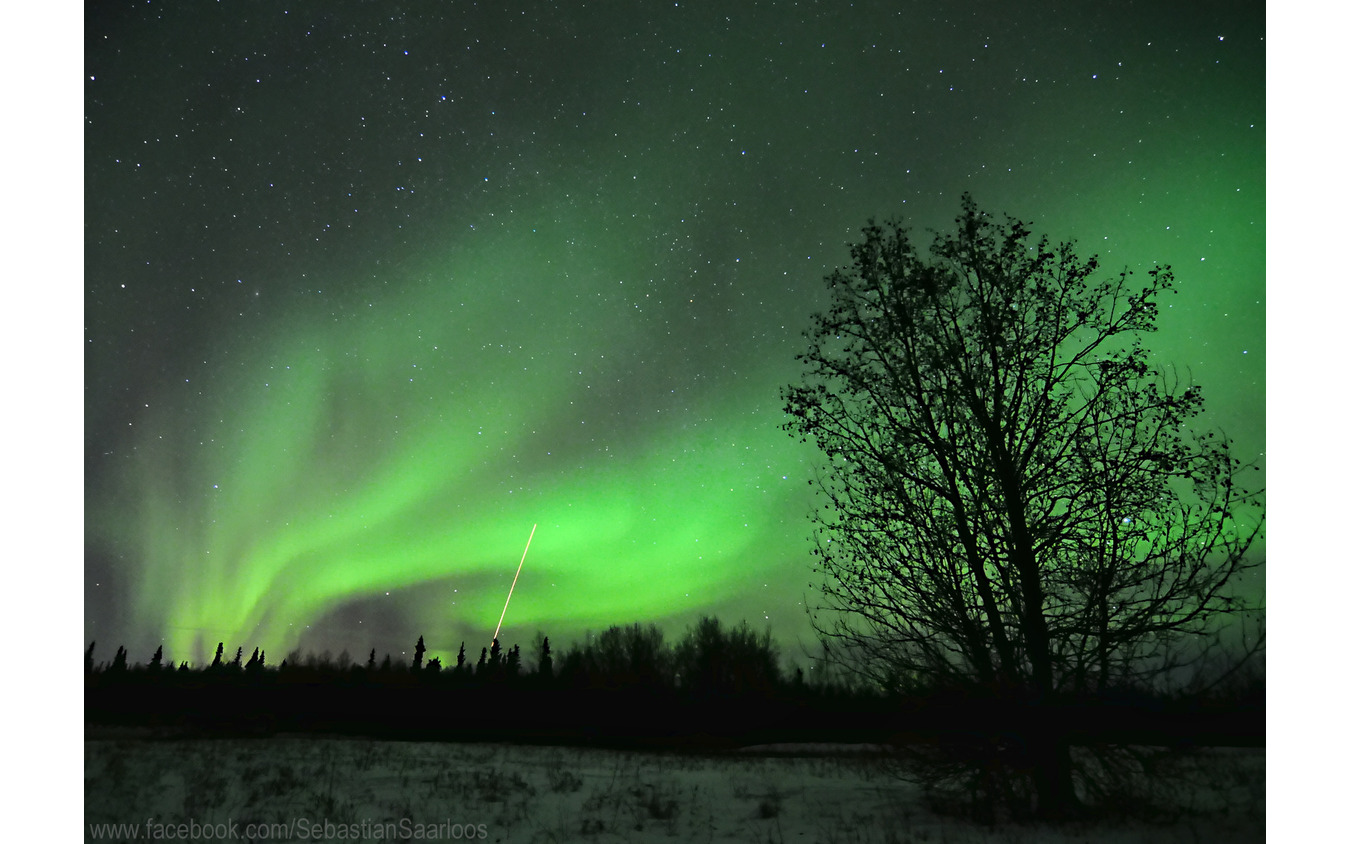 アラスカの幻想的なオーロラのイメージ レスポンス Response Jp