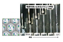 横浜ゴムと信州大学、高分子微粒子から亀裂が進みにくいゴム材料を開発