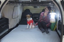 停電時に家族と愛犬の命を守るには？…クルマでの避難が選択肢の一つに【青山尚暉のわんダフルカーライフ】