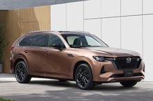 愛犬の車酔い、半数が「NG行動」を選択---マツダがドッグカフェ開催