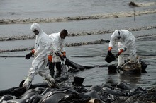原油漂着のサメット島、海水の水銀濃度が基準の３０倍