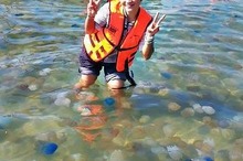 タイ東部の海岸に七色のクラゲ