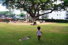 旅行会社も注目する「子連れ留学」がひそかなブーム