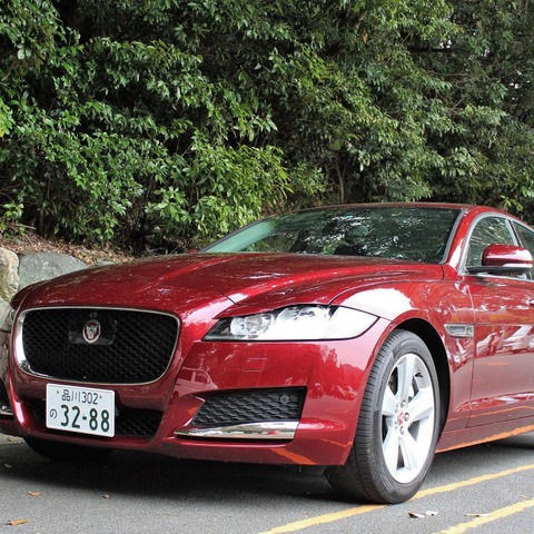 【ジャガー XF 新型】XE とのデザインの違い 画像