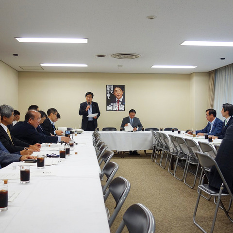 経年車の税軽減へ…自動車文化を考える議員連盟、発足 画像