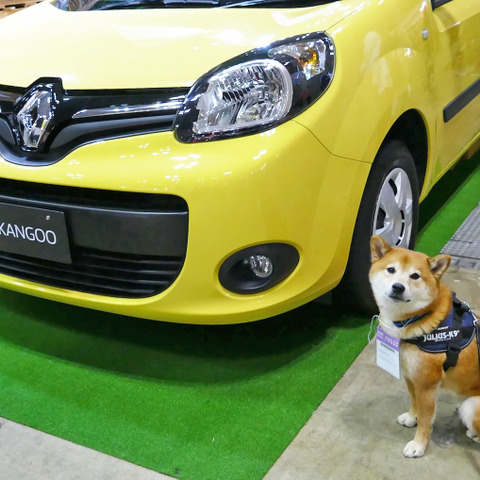 柴犬ハルと振り返る“クルマと”インターペット…ペットに優しい5メーカーは 画像