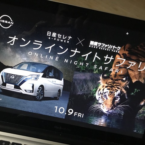 夜の動物園をEVで行く…オンラインで体験！ 日産×那須サファリパーク 画像
