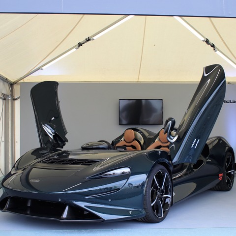 ブルースの悲願…マクラーレン エルバ、走行可能なモデルが登場［写真38点］ 画像