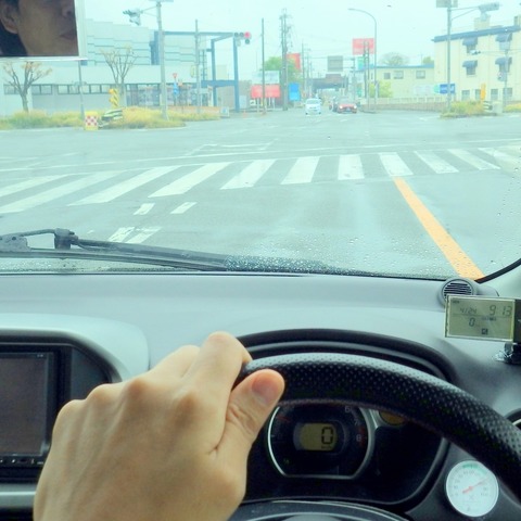 「信号が見えていない」という可能性…眼科医が指摘する事故の原因と対策【岩貞るみこの人道車医】 画像
