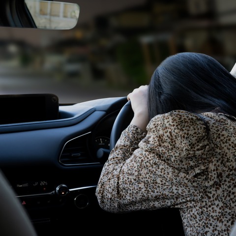 「保険会社は騙せない」自動運転時代にこそ活きる「EDR」の可能性［後編］【岩貞るみこの人道車医】 画像