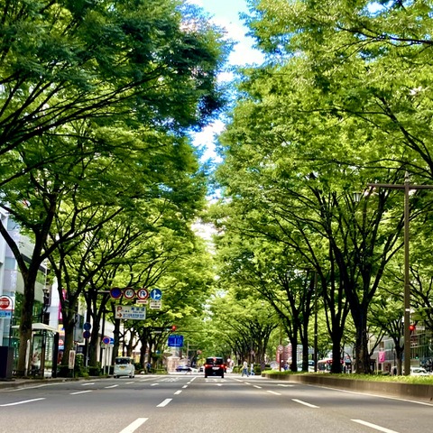 走りも快適性も守る! 車高調、オイル、電装系まで“お手入れ完全マニュアル”~カスタムHOW TO~ 画像