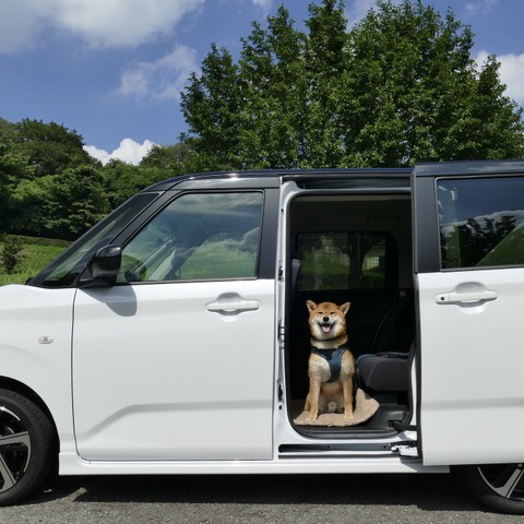【ダイハツ ムーヴ 新型試乗】つい“ジャケ買い”しそうになる、プレーンな良き実用車…島崎七生人 画像
