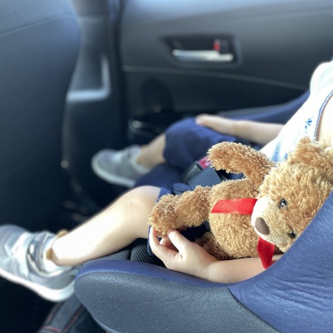 情報には、人の人生を変える力がある。「安全」を発信するということ【岩貞るみこの人道車医】 画像