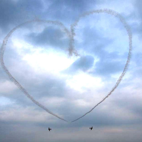 乱舞する飛行機…オートボルテージュ 画像