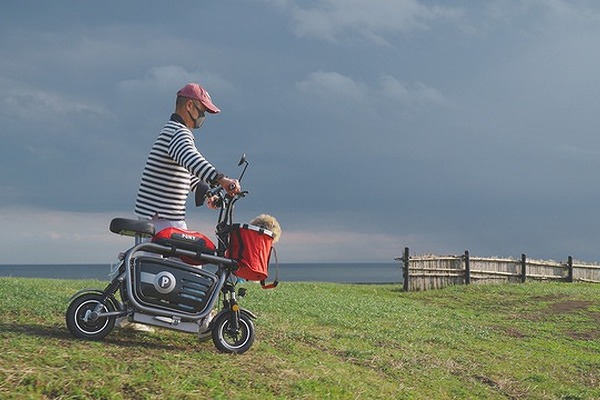 The Dog Bike PONY