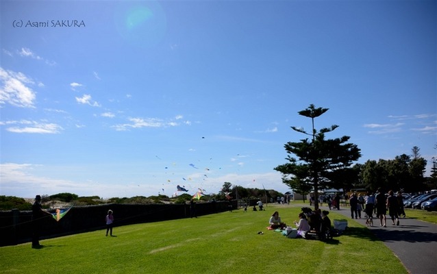 Kite internationa festival