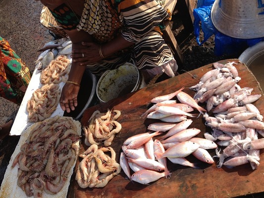 チェンナイ郊外の魚市場の様子
