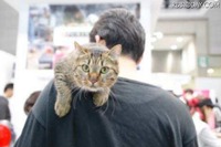 【インターペット16】ペットの祭典、今回はニャンと猫関連の出展増加 画像
