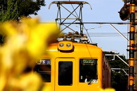銚子電鉄、デハ1001の引退記念列車を運行…2月27・28日 画像