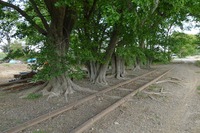 西武鉄道、安比奈線の車両基地整備計画を廃止…休止から半世紀の「廃線」 画像