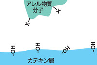 日産、花粉症の原因物質をほぼ除去できるエアコンフィルターを新開発 画像