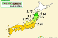 花粉シーズンがスタート、ピーク時期は例年並み 画像