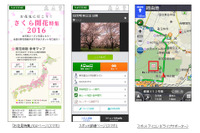 ナビタイム、さくら開花特集を公開…3月上旬よりナビアプリも連動 画像