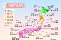 桜の開花予想、東京が全国に先駆けて開花…ウェザーニューズ 画像