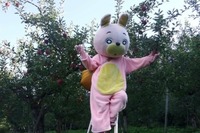 電車なし、バスは1日1往復…山形県朝日町の課題を考える 画像