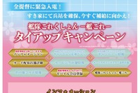 『艦これ』と「すき家」がコラボ…オリジナル丼プレゼントも 画像