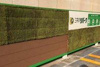三井のリパーク、緑化パネルを採用した環境配慮型駐車場を名古屋に開設 画像