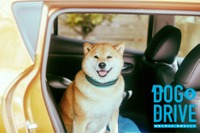 日産、犬とクルマの良い関係…獣医監修のショートムービー［動画］ 画像