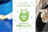 クルマに猫が隠れていた、7人に1人が回答…全国一斉猫バンバン調査 画像