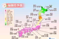 桜開花予想、今年は東京が1番乗り ウェザーニューズ 画像