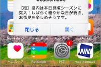 花見に適したタイミングを知らせるサービス開始…ウェザーニューズ 画像